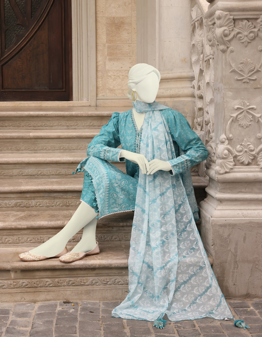 JLAWN-S-IN-23-119 Aquish